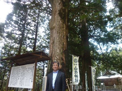 山住神社のご神木