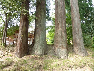 中尊寺