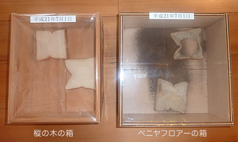 モミカフェ　HABITA