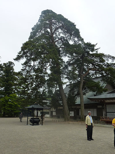 中尊寺