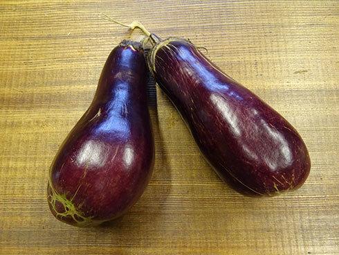 長野県の原種なすとは？